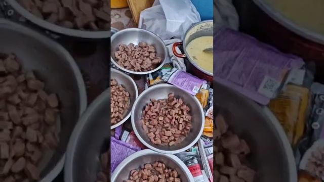 Вкусные вкусняшки для кошек