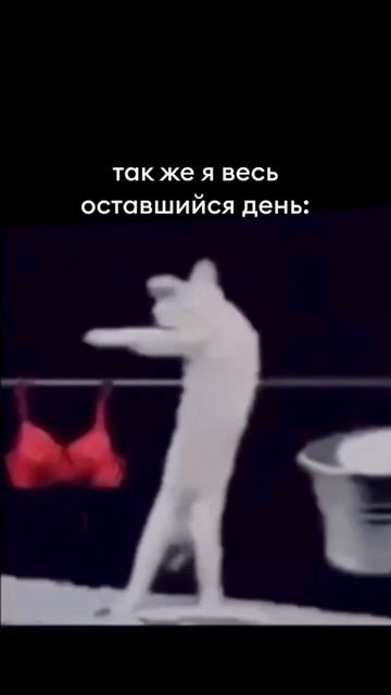 Быстренько, ага 😁 а у вас так бывает ?