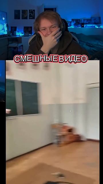 смешные видео
