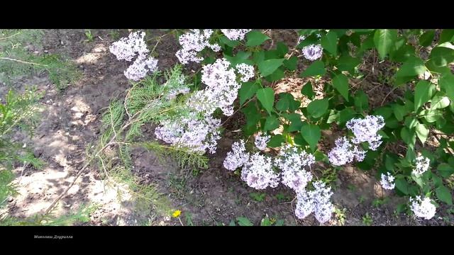 Город весной   #лучшее  #музыка  #Волгоград