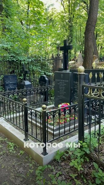 Что стало с могилой после удаления дерева?