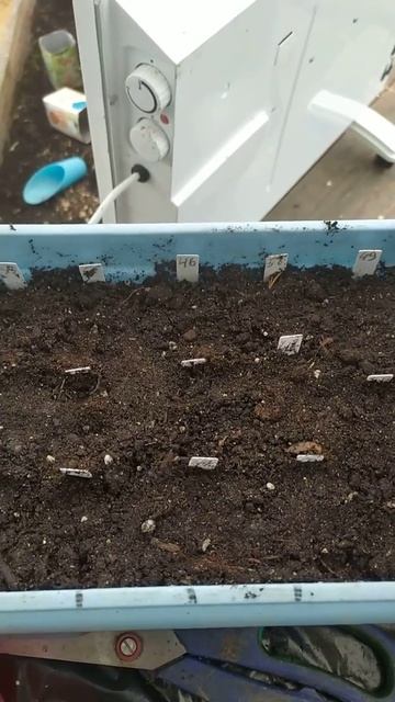 (архив)
