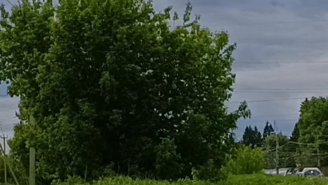 ЭП2К с поездом Санкт Петербург Москва