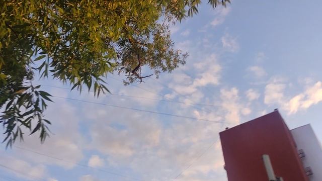 закат 1 июня