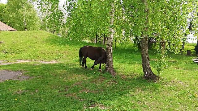 VID_20260515_142527