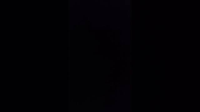 1000269390.mp4