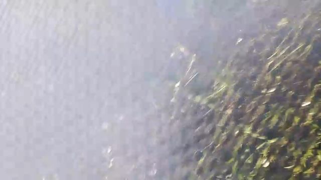 ВЫШИБАЛЫ, НО ТОЛЬКО НОГОЙ! *Новый участник*