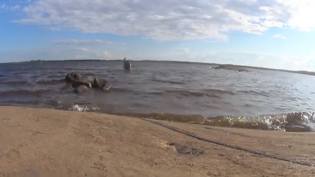ХОЛОДНОЕ БЕЛОЕ МОРЕ! РЫБА ПРЯЧЕТСЯ ПОД КАМНЯМИ! Я ЕЁ НАШЁЛ ХОТЬ И ВЕТЕР! ИДУЩИЙ ПО ВОДЕ!