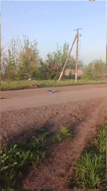 И такое бывает. Стягивание автомобилем не сдетонировавшего FPV-дрона,упавшего в кузов к нашим парням