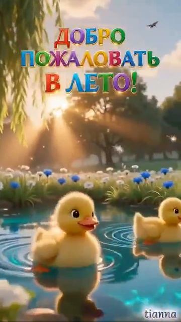 Лето