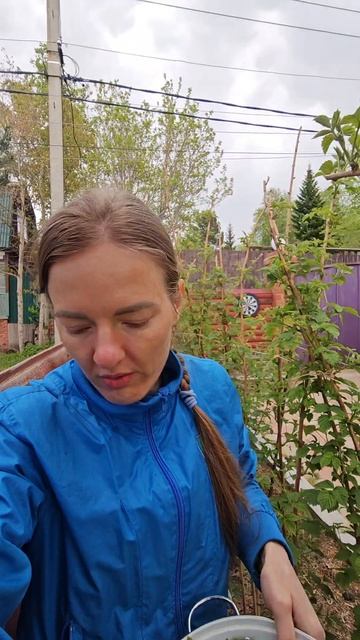Пп зелёный салат для здоровья 🌵🌱 сохраняй рецепт и подпишись📌