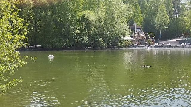 01-06-2026 Привет! Прогулка по зоопарку.