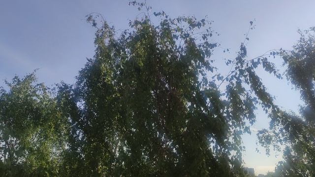 СЕНСАЦИЯ - 1 июня вот и наступило лето 2026 года.... Как обещал ☀️ в небе.... Прогноз сбылся.