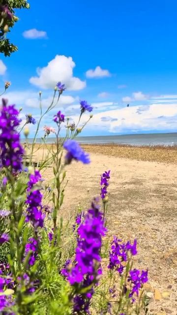 Счастливы в Ейске ☀️ С первым днём лета ☀️