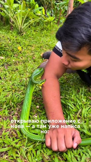 «Что делать при укусе змеи? Разбираем ошибки!»