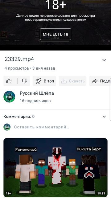 23519.mp4