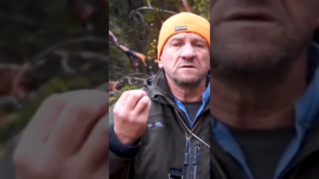 Полностью согласен