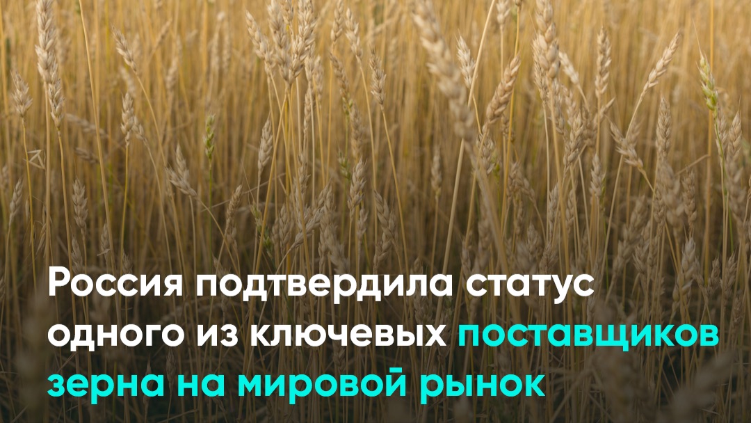 Россия подтвердила статус одного из ключевых поставщиков зерна на мировой рынок