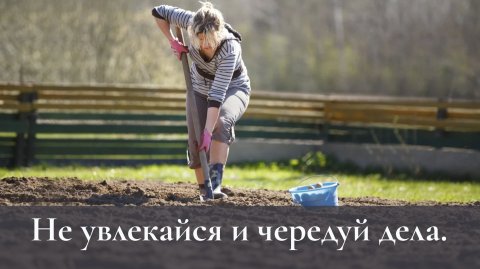 Не увлекайся и чередуй дела