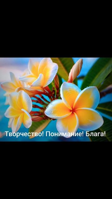 Лето!☀️Девиз месяца, недели, дня!✨01.06.2026.Творчество, созидание! Понимание, развитие! Мир, блага!
