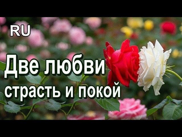 Две любви |   буря и утренний покой- очаровательный романс