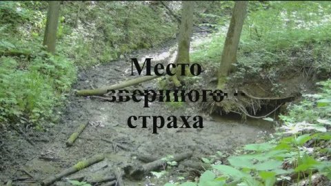 Место звериного страха.