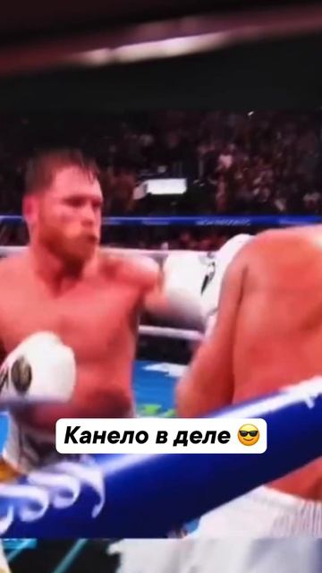 Сауль Альварес - ждем на ринге ✊