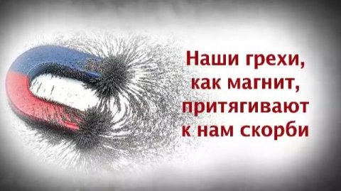 Наши грехи, как магнит, притягивают к нам скорби