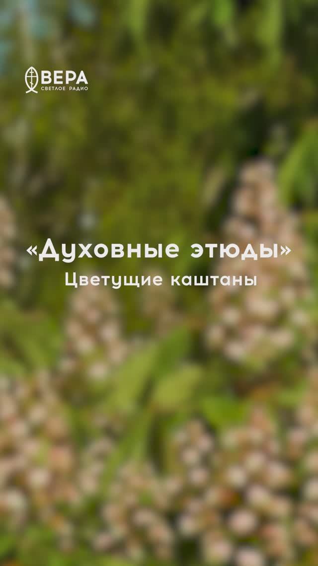 Духовные этюды, 30 мая 2026