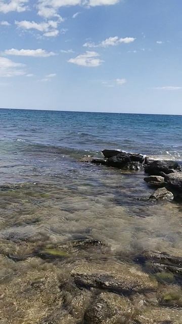 море