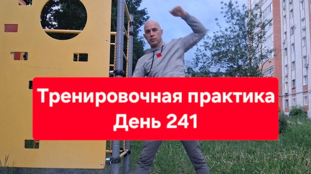 Тренировочная практика. День 241