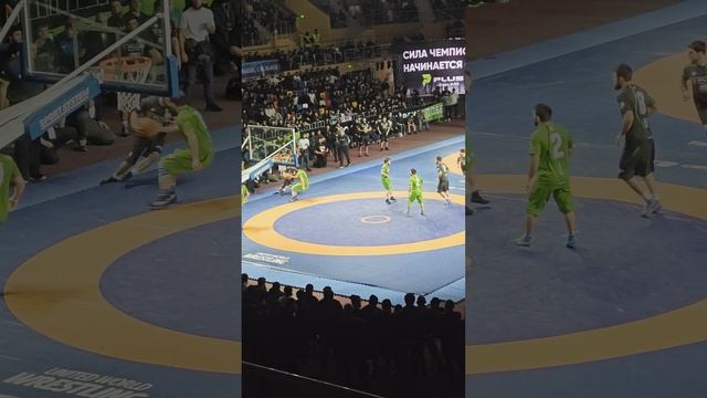 Wrestball