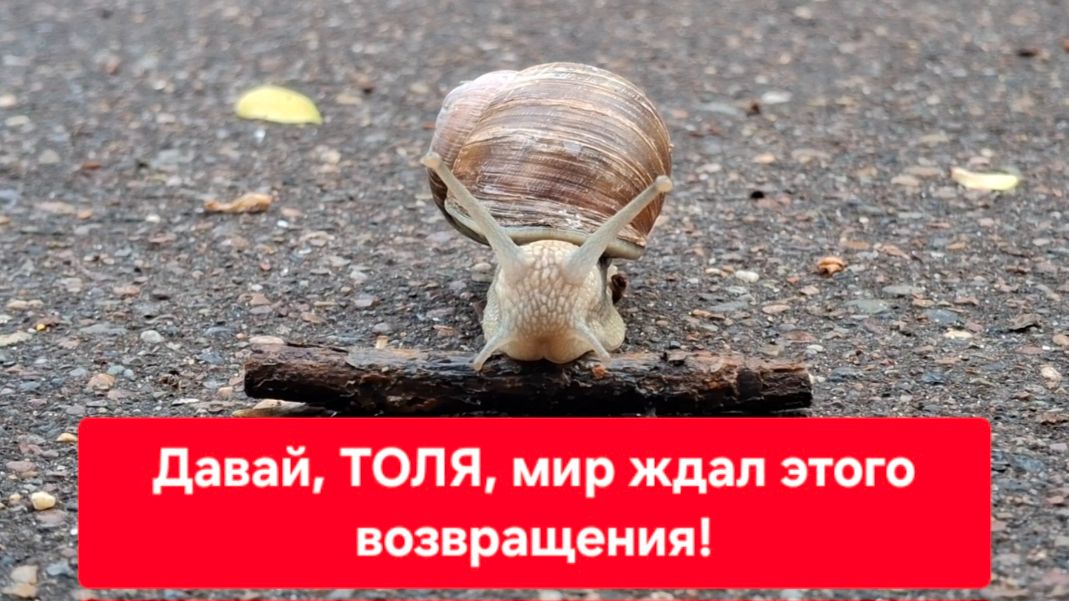 Давай, Толя, мир ждал этого возвращения!