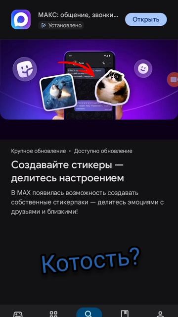 Котость? 😺