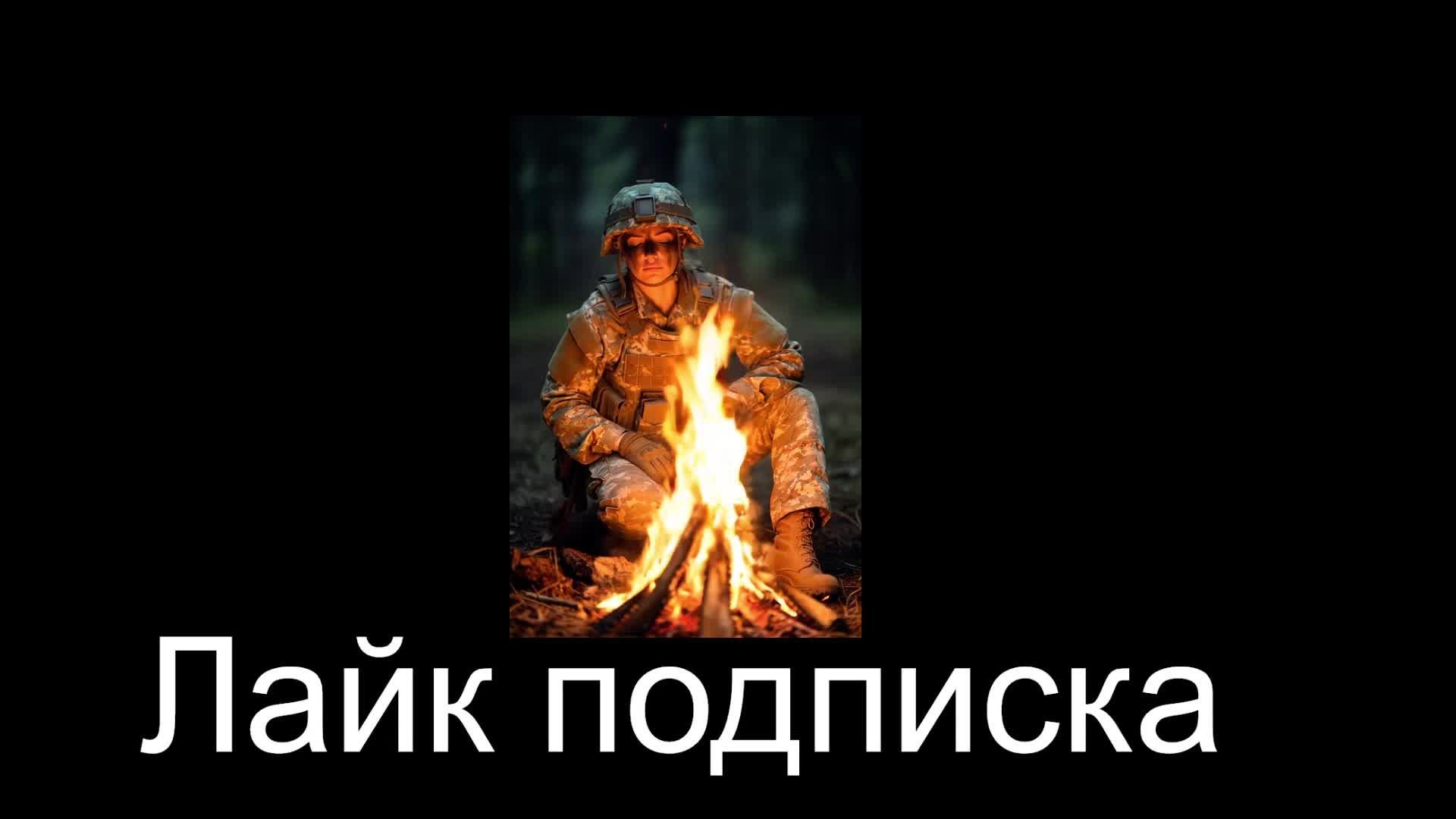 Dayzwill
