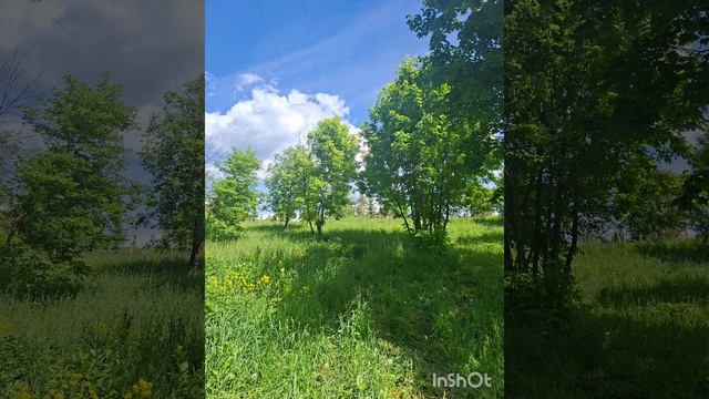 Начало лета..mp4