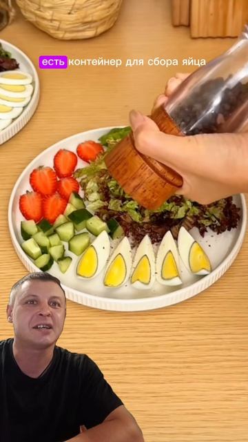 Яйце резка  с Wildberries