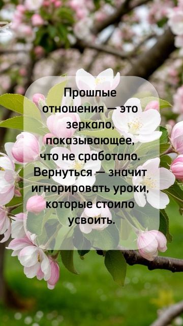 #shorts#любовь#любовьиотношения #психология #психологияжизни#психологияличности