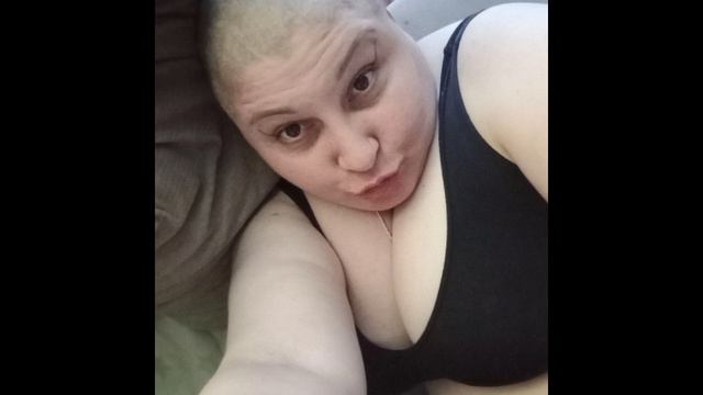 2878.mp4