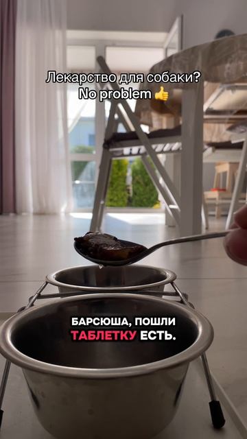 Собака принимает лекарство