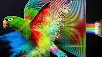 Конец эпохи OLED? Первые обзоры телевизоров Sony на базе True RGB