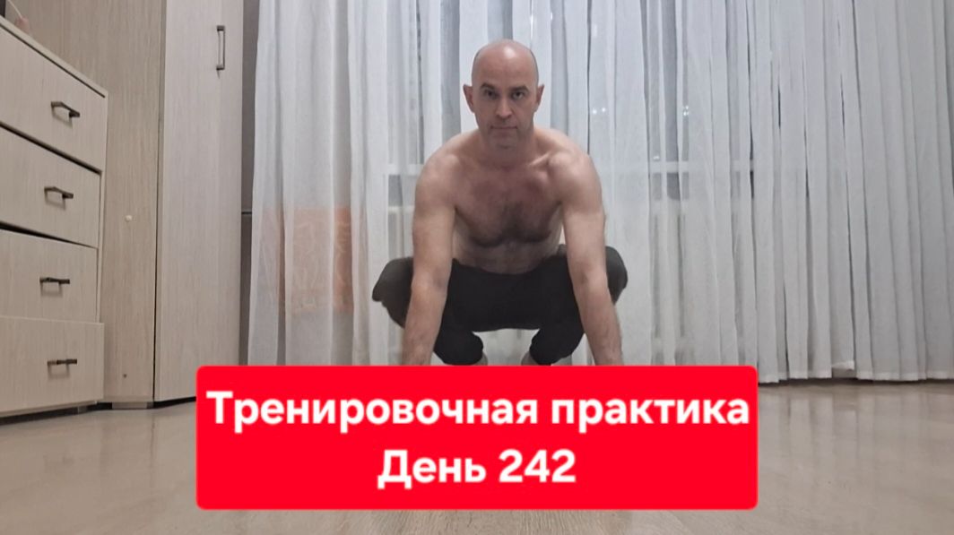 Тренировочная практика. День 242