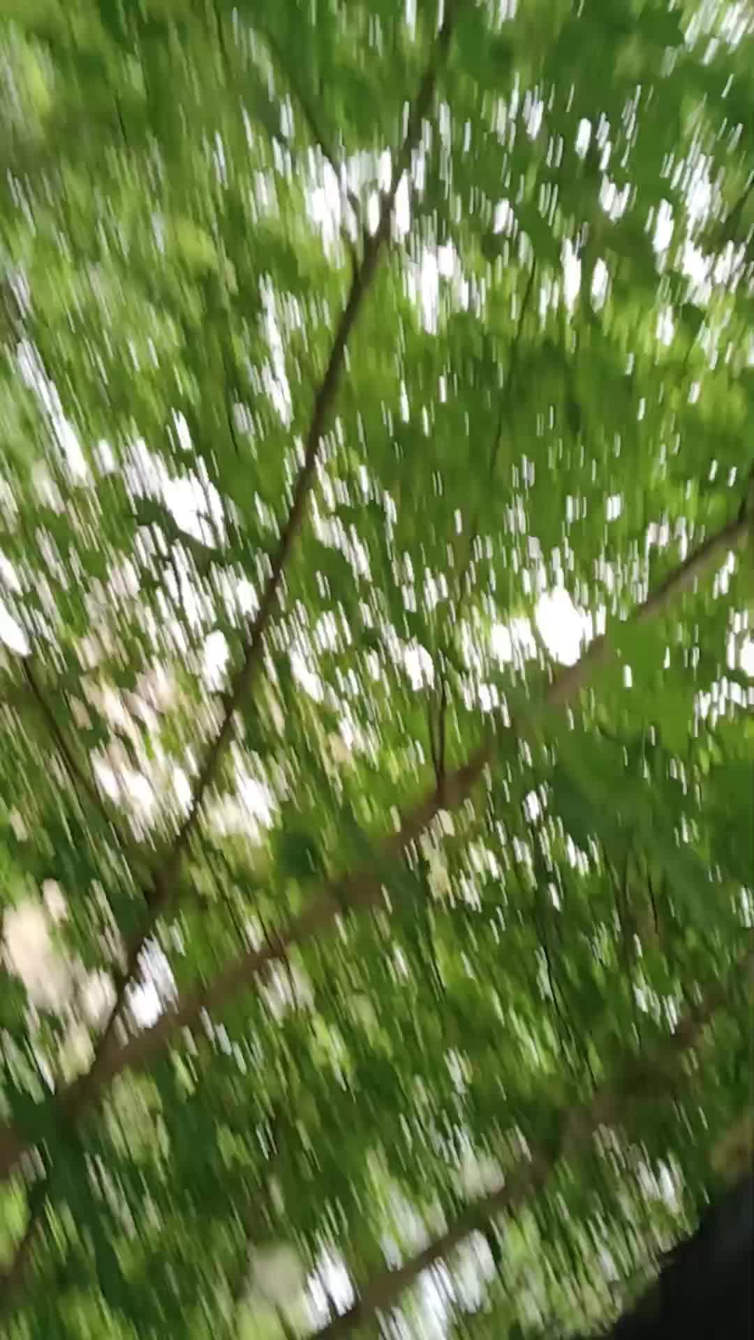 станндоф2