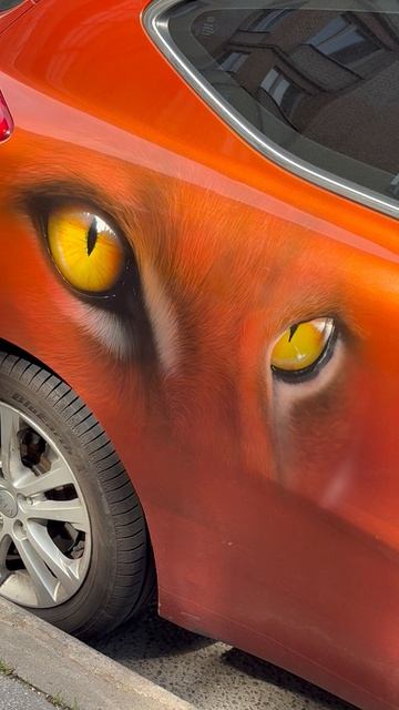 Автомобиль •Кошачий глаз» в Санкт-Петербурге