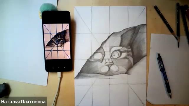Котенок выглядывает (простой карандаш)