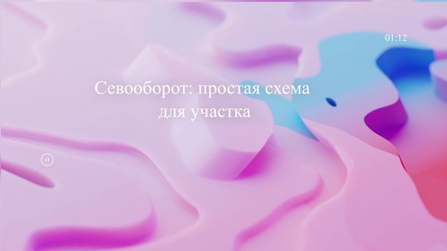 Севооборот: простая схема для участка