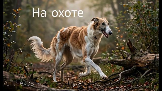 5e193382a8ac1720271bdd608780d944