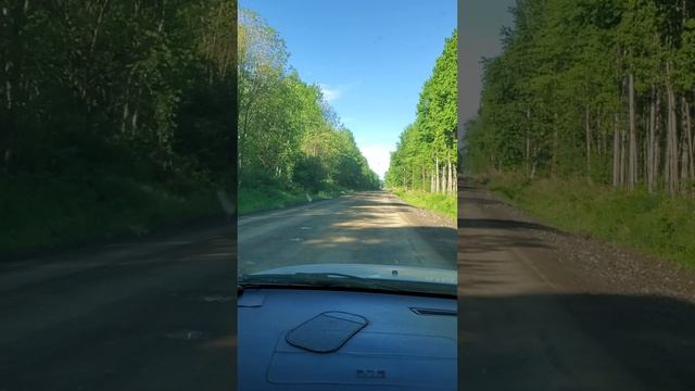 дорога жизни
