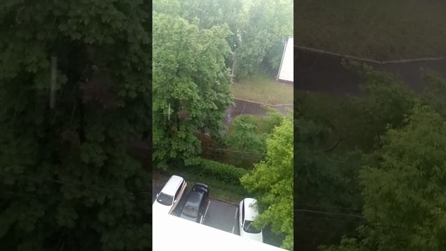 VID_20260530_145618.mp4