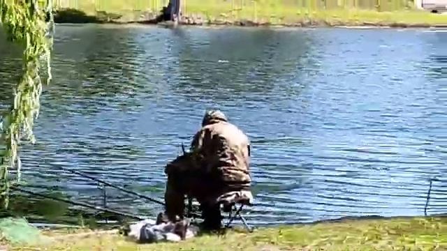 г. Алексеевка. Городской парк.им 40 - летия ВЛКСМ. Белгородская область.